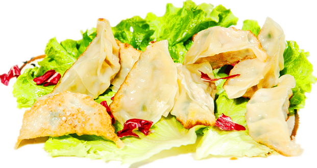 MENU S23 raviolis végétariens